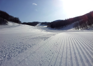 ブラックコースイメージ