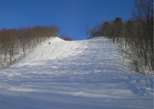 ブルーセンターコースイメージ