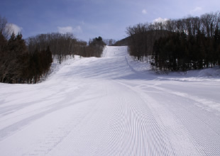 ブルーインコースイメージ