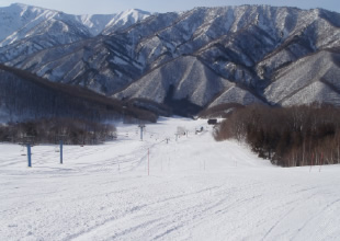 ブルーアウトコースイメージ