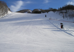 イガヤゲレンデイメージ