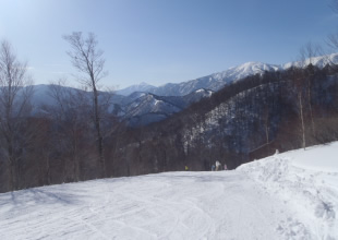 オレンジアウトコースイメージ1