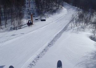 オレンジアウトコースイメージ2