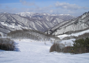 レッドコースイメージ1