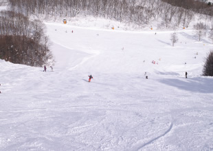 レッドコースイメージ2