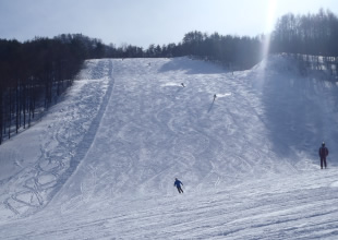 レッドコースイメージ3