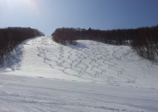 スーパーブラックコースイメージ