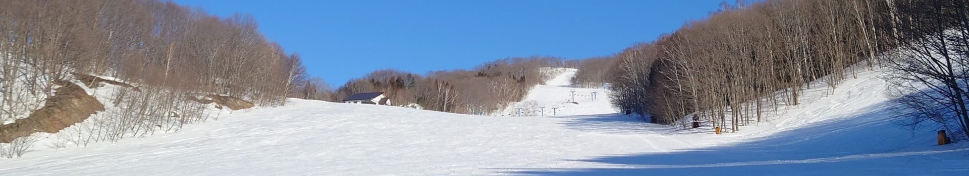 メディア掲載情報