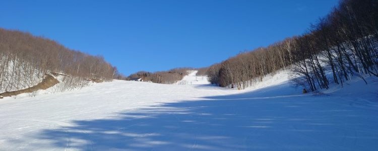 メディア掲載情報