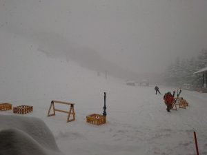 待望の雪です！