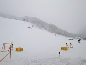雪降りました♪