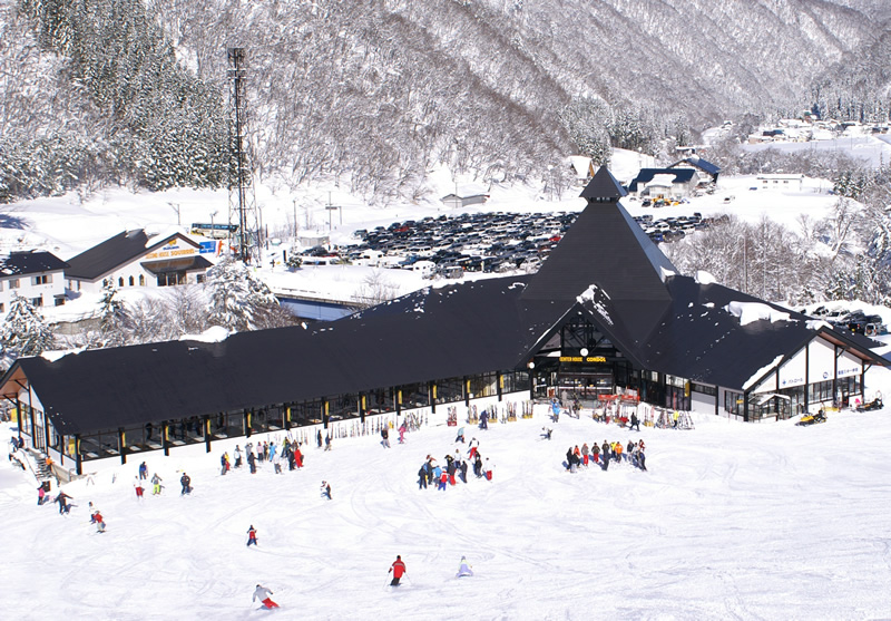 センターハウス　コンドル