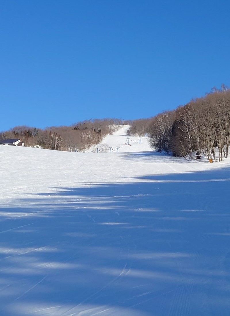 理想の雪が待っている！北日光・高畑スキー場